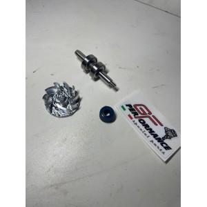 KIT  POMPA ACQUA ALBERO...