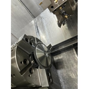 SEMIPULEGGIA PIATTELLO...