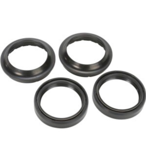 Revisione Forcella Sebac...