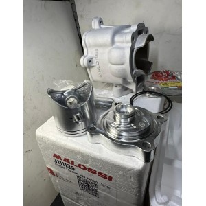 KIT POTENZIAMENTO GF...