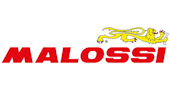 Malossi
